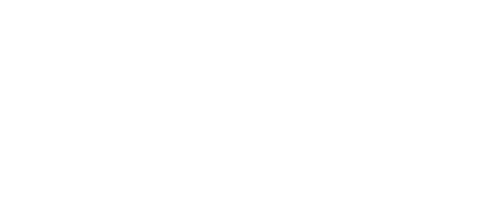 Wit Logo Custom Media webdesign nijlen